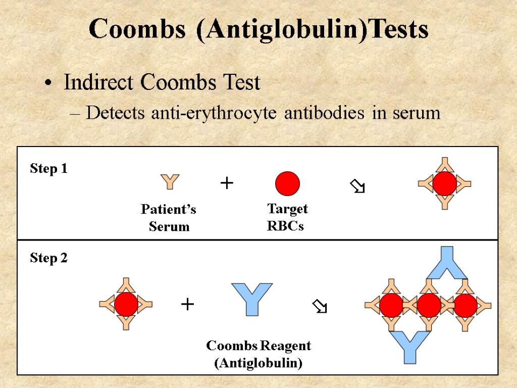 Coombs (Antiglobulin)Tests Indirect Coombs Test Detects anti-erythrocyte antibodies in serum